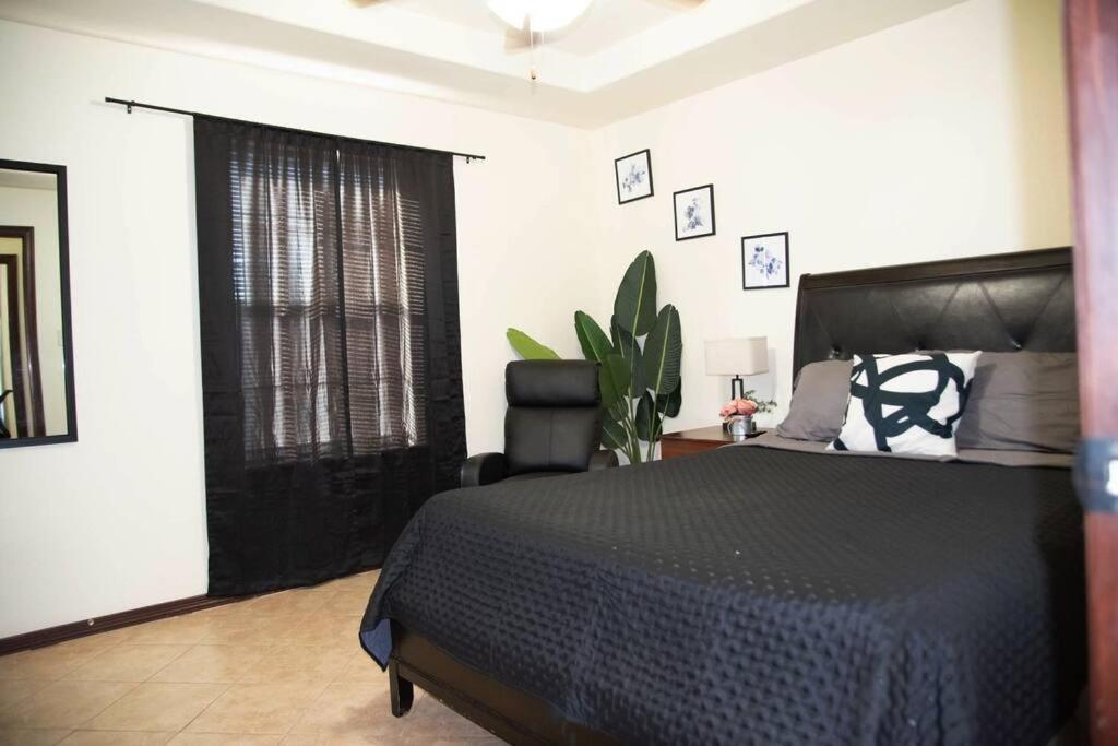1 Min To University Utrgv 2Bd 2Bt Town Suite Edinburg Extérieur photo
